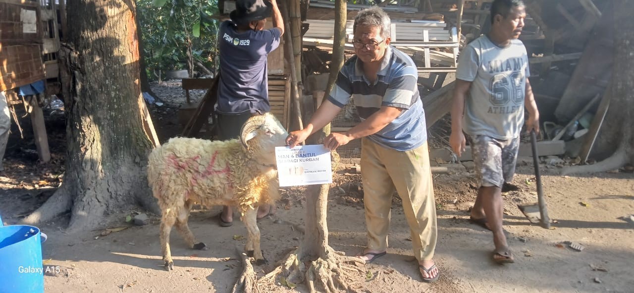 Berkah Idul Adha 1446 H, MAN 4 Bantul Tebar Kebaikan Melalui Penyerahan Hewan Kurban