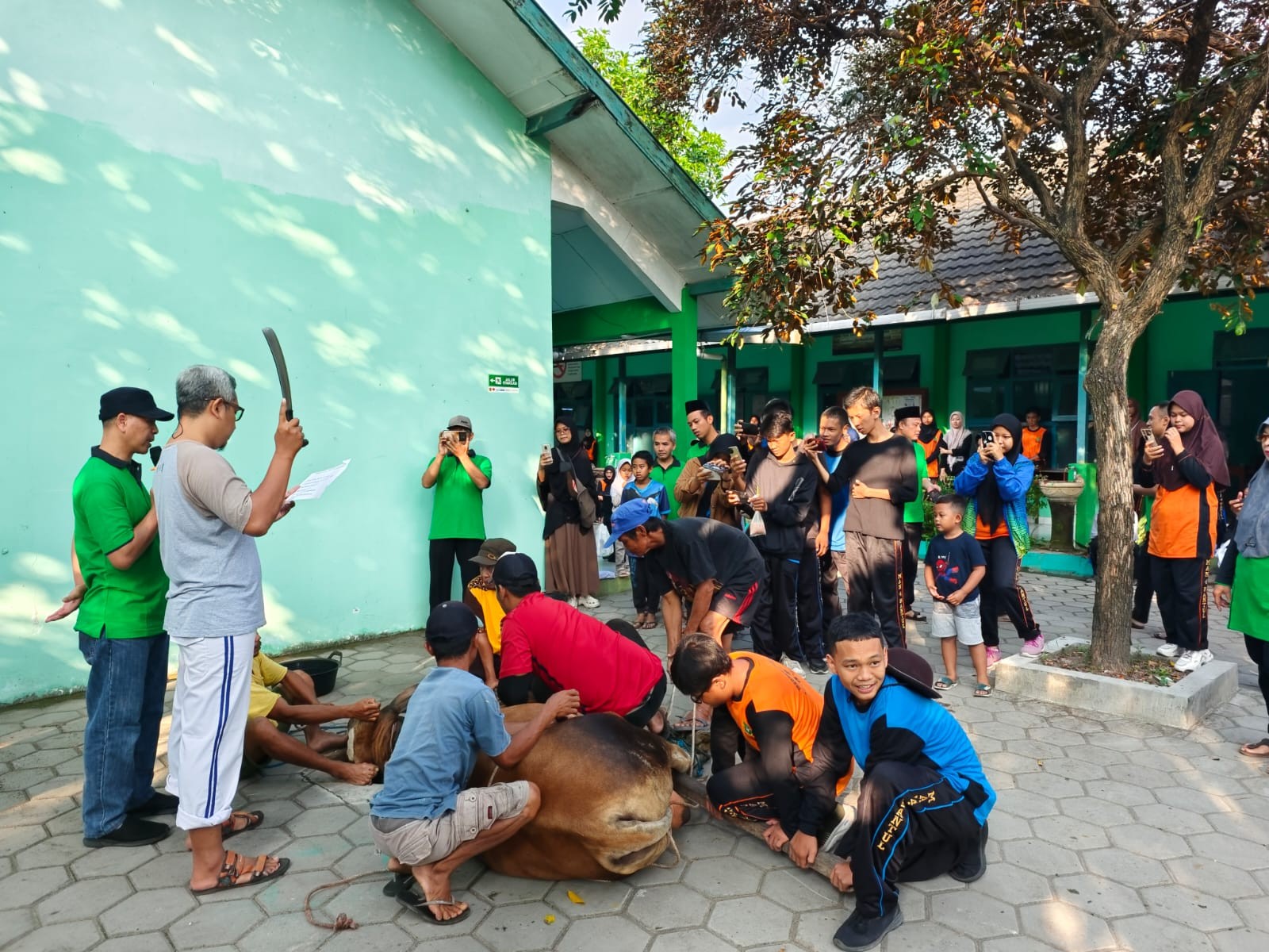 MAN 4 Bantul Tebar Kebajikan di Hari Raya Idul Adha 1444 H dengan Menyembelih Hewan Qurban