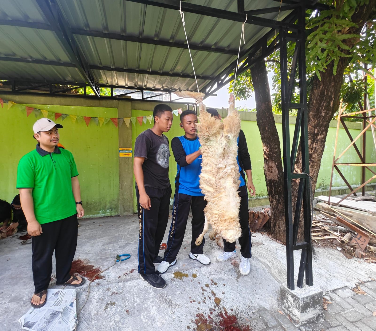 Belajar Menyelami Makna Qurban, Siswa MAN 4 Bantul Terlibat Langsung dalam Kegiatan Penyembelihan He