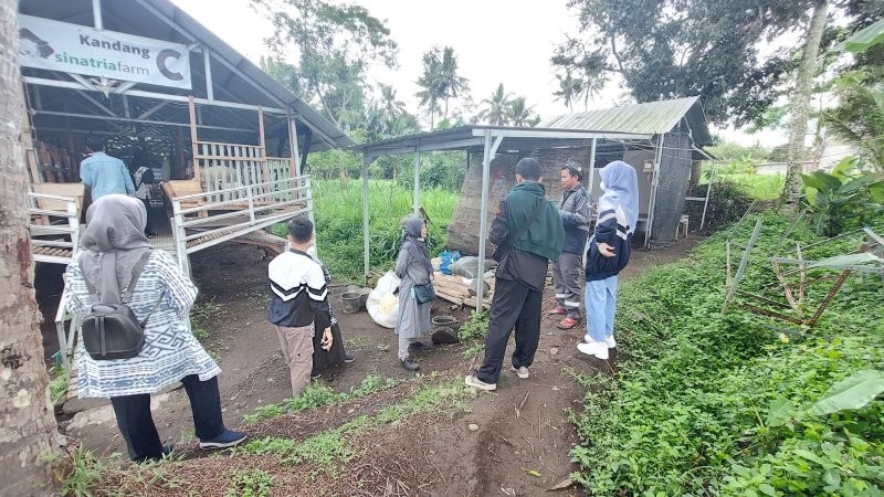 Siswa MAN 4 Bantul Teliti Pendapatan Nonternak di Peternakan Sinatria Farm