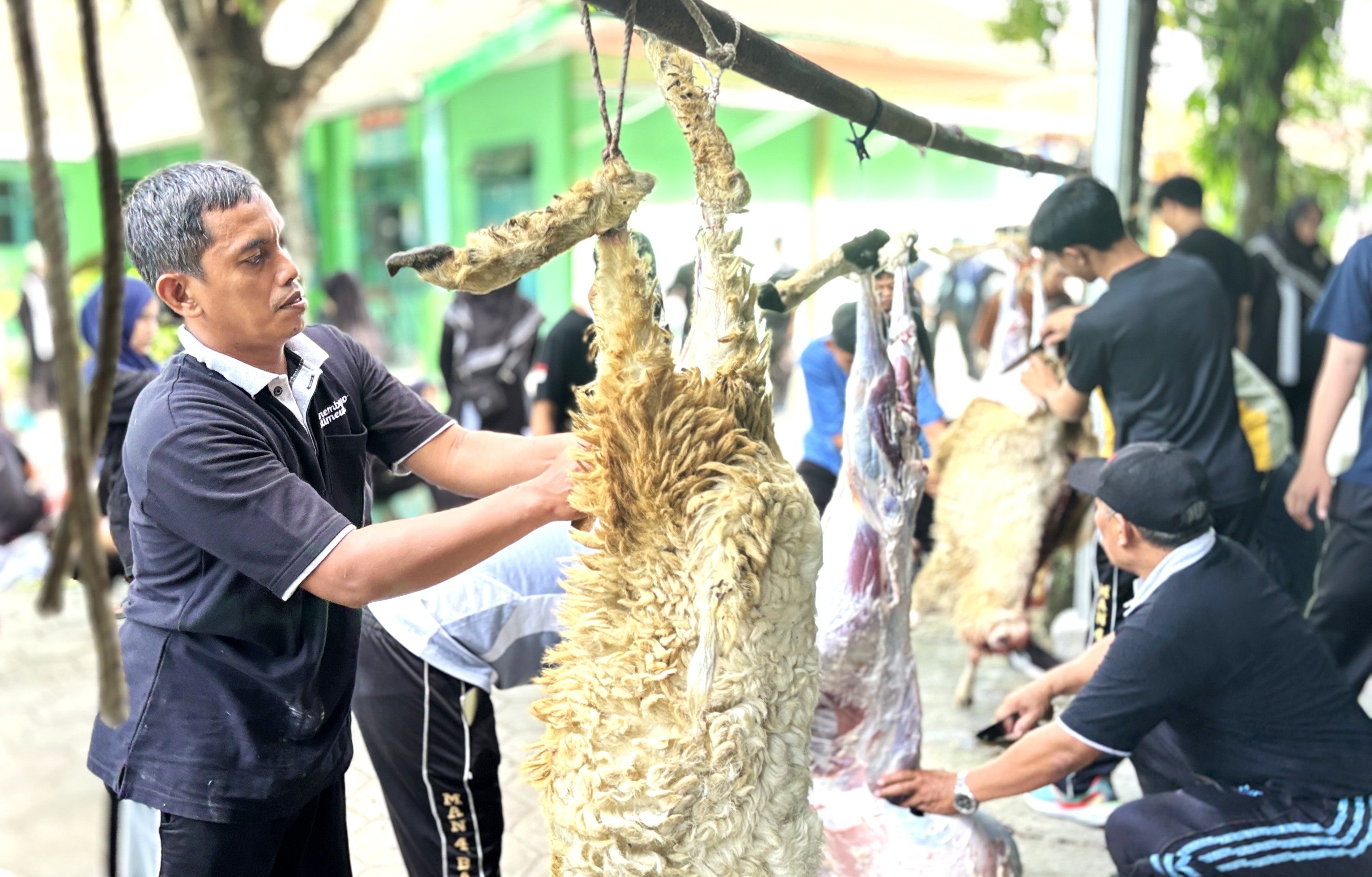 MAN 4 Bantul Libatkan Seluruh Warga Madrasah dalam Pengelolaan Daging Kurban